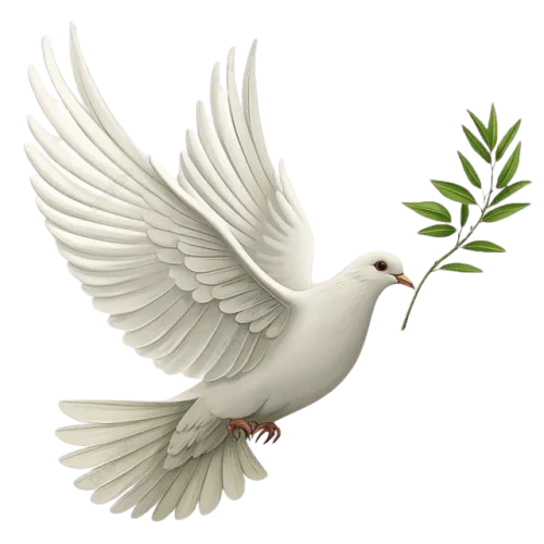 Revign as message pigeon illustration